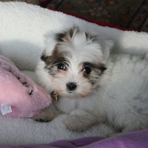 Meet your Posher, Beth